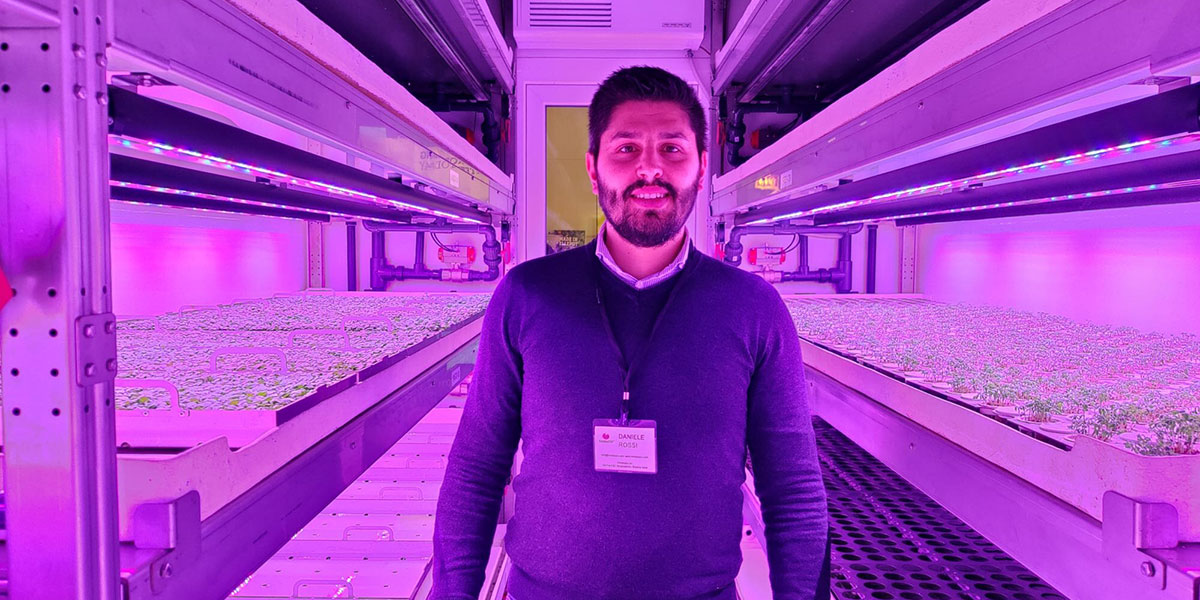 Con TomatoPiù i micro ortaggi si producono in casa